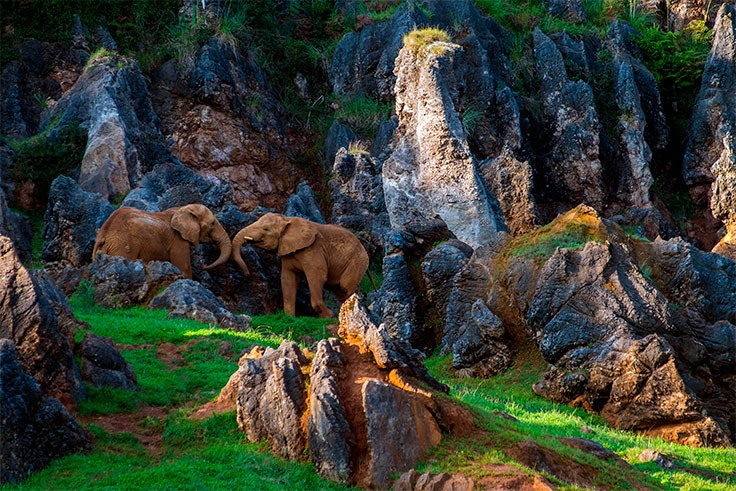 parque de la naturaleza de cabarceno