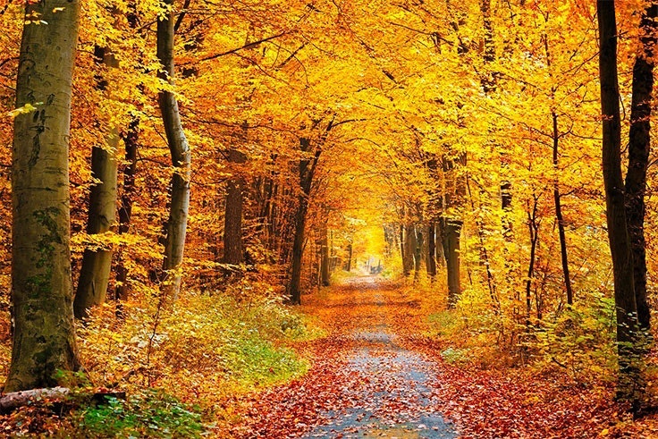 cuando empieza el otoño