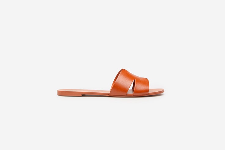 palas springfield