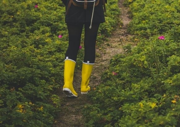 Botas de agua