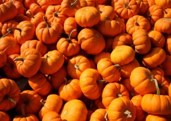 Hummus calabaza Halloween