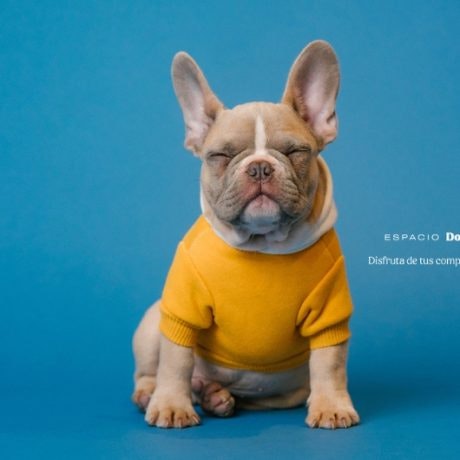 Guau-Guau ¡Qué bien se está en Valle Real! Perros disfrutones sois bienvenidos