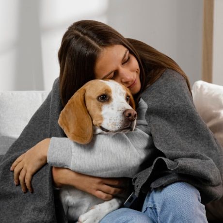 ¿Cómo puedes saber si tu perro tiene frío?